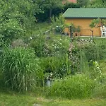 Big With Garden *