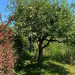 Appartamento Big With Garden *