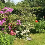 Big With Garden Appartamento