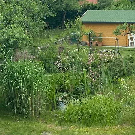 Big With Garden *