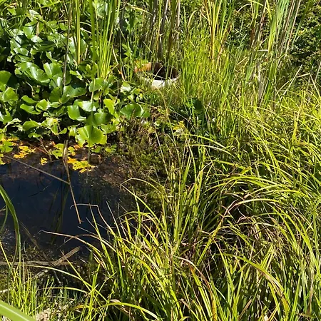 Big With Garden Apartment *