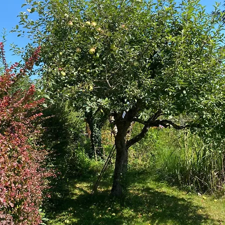 Appartement Big With Garden *
