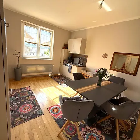 Apartment Big With Garden *