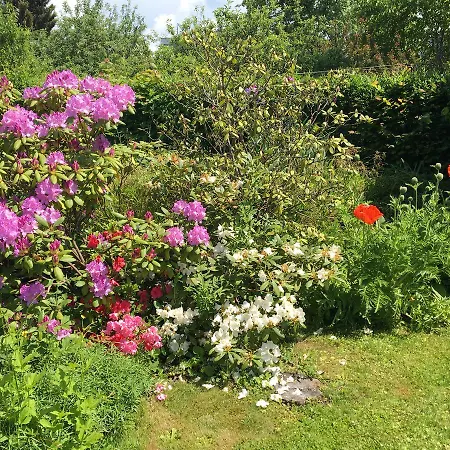 Big With Garden Appartement