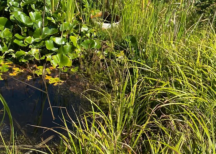 Big With Garden Apartment *