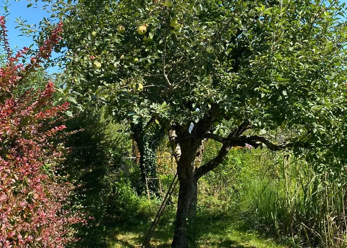 Apartment Big With Garden *