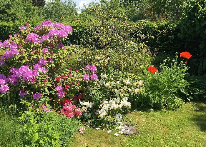 Big With Garden Apartment